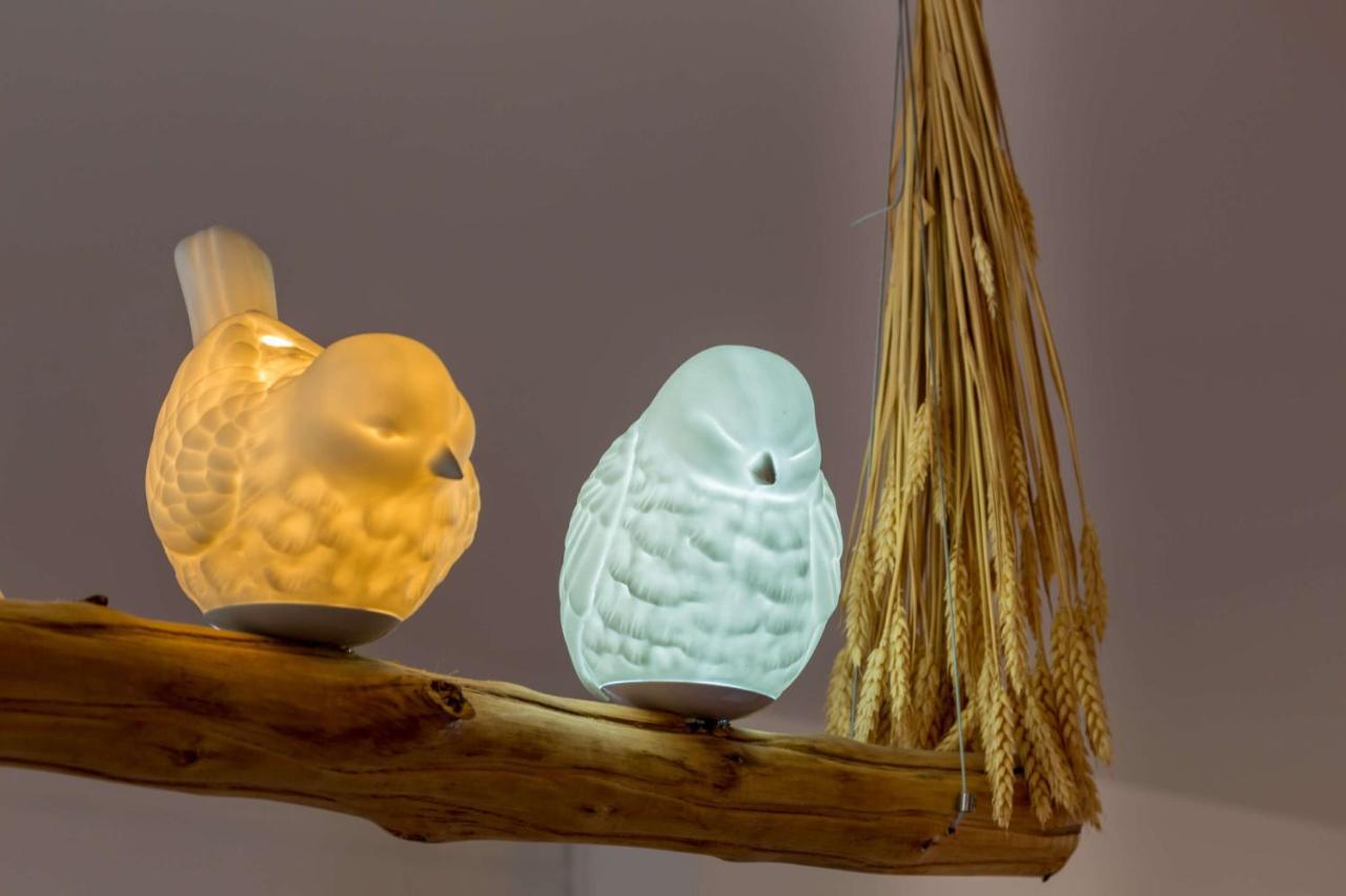 L'Oiseau Blanc ~ Centre Ville ~ Arrivee Autonome Блоа Екстериор снимка